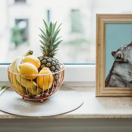 Fatcat Krakov