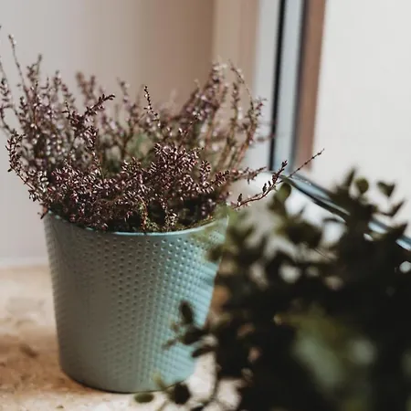 Appartamento Fatcat Cracovia