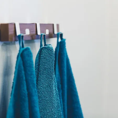 Fatcat * Краков