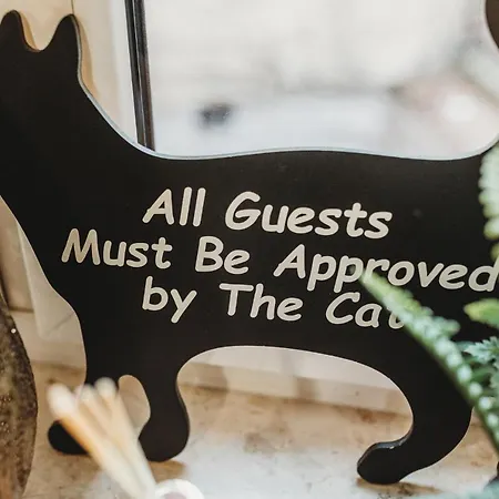 Apartment Fatcat *